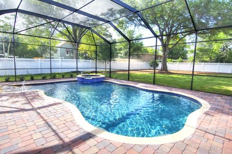 20x40 pool screen enclosure installed in residential backyard over paver patio Screened In Pool, Pool Screen Enclosure, Pools Inground, Swimming Pool Enclosures, Screened Pool, Florida Pool, Piscina Interior, Screen Enclosures, Pool Enclosures