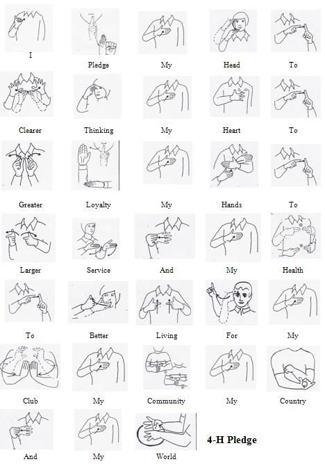 Asl Emergency Signs, Like In Sign Language, You In Sign Language, How To Say Bad Words In Sign Language, Bsl Sign Language Alphabet, Pronouns In Asl, Asl Basic Signs, My Name Is In Asl, Asl Beginners Signs