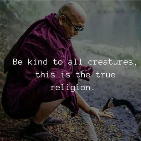 Famous Buddha Quotes, Buddhism Quotes, Quotes On Love, Buddha Quotes Inspirational, Buddhism Quote, Buddha Teachings, Peace Happiness, Buddha Quote, Buddha Quotes