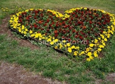 heart shaped flower bed Flower Bed Designs, Garden Flower Beds, Outdoor Paradise, Flower Garden Design, Edible Landscaping, Memorial Garden, Backyard Garden Design, Landscaping With Rocks, Landscape Pictures