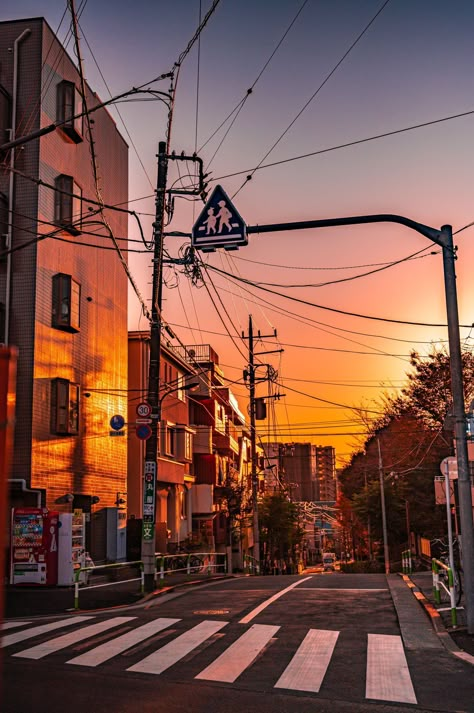 Soft City Aesthetic, Morning Aesthetics, Yellow Stuff, Japan Pictures, Japan Picture, Classical Paintings, Background Reference, Afternoon Light, Aesthetic Yellow