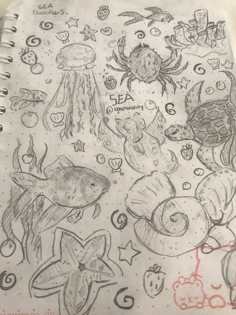 DO NOT REPOST I TOOK FOREVER TO DRAW THIS Marine Bio Drawing, Aquarium Design Drawing, Marine Biology Drawings Easy, Marine Biology Drawings, How To Draw Sea Creatures, Ocean Animal Drawings, Ocean Sketches, Marine Drawing, Marine Life Drawing