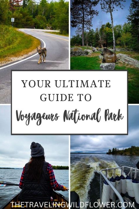 Explore Voyageurs National Park- the least traveled National Park in the USA! Voyageurs National Park, Midwest Road Trip, National Parks America, Boreal Forest, Lake Trip, National Parks Usa, National Parks Trip, Yellowstone National Park, Yosemite National Park