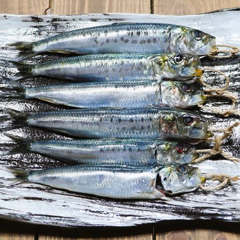 Discover the art of making traditional whole-dried sardines using fresh, morning-caught iwashi. Dive into the rich flavors and nutritional benefits of this Japanese culinary trad https://kitano-komachi.medium.com/traditional-whole-dried-japanese-sardines-made-from-fresh-morning-caught-iwashi-6482c7351ffc #homecooking #TraditionalJapaneseFood #HealthyEating #WholeDriedSardines #JapaneseCuisine #HomeCooking Dried Sardines, Japanese Food Traditional, Fresh Morning, Home Cooking, Seafood, Healthy Eating, Nutrition, Benefits, Fish