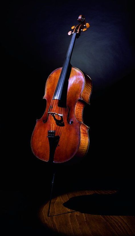 Chello Instruments, Cello Wallpapers, Cello Instrument, Pretty Instruments, Cello Art, Cello Photography, Music Silhouette, Branches Of Art, Indian Musical Instruments