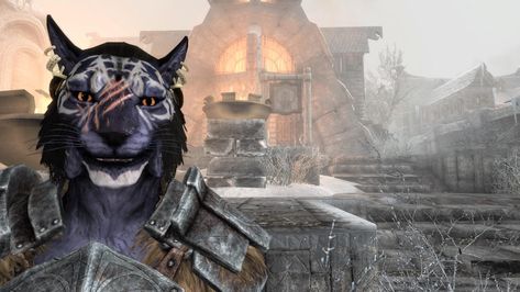 skyrim Inigo Skyrim, Khajiit Skyrim, Skyrim Mod, Skyrim Mods, Elder Scrolls V Skyrim, Fantasy Authors, Character Aesthetics, Comfort Characters, The Brave