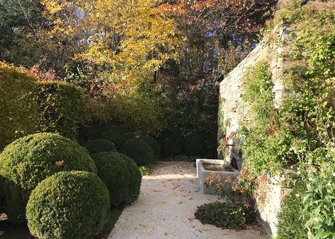 John Saladino Garden, Structural Planting, Miranda Brooks, Fountain Wall, Boxwood Garden, Pathway Landscaping, London Garden, Mediterranean Garden, Traditional Landscape