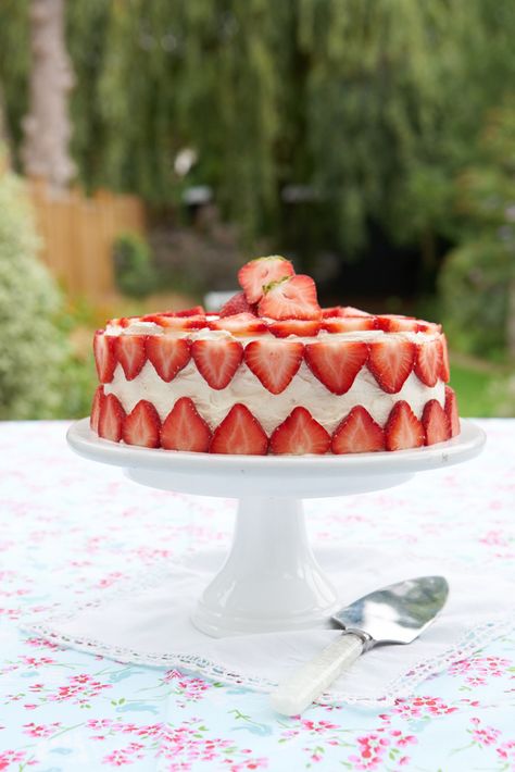 Easy sponge cake with a fluffy covering, decorated with juicy red berries Strawberry Fraisier, Spring Strawberries, Berry Patch, British Baking, Dessert Cake, Fancy Desserts, Strawberry Desserts, Strawberry Cake, Decadent Desserts