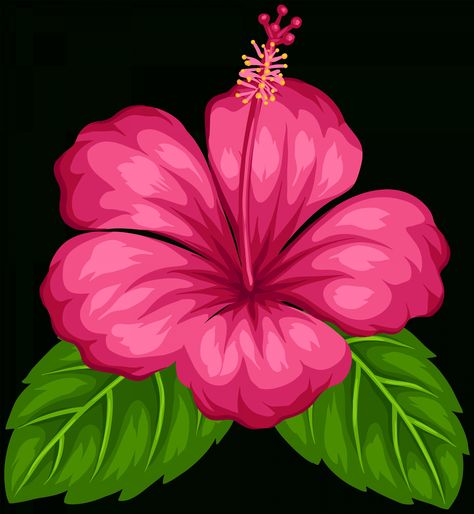 Flamingo Birthday Party 300 Gumamela Flower, Hibiscus Clip Art, Flowers Exotic, Flamingo Birthday Party, Flower Lei, Flamingo Birthday, Flowers Png, Flowers Black, Rare Flowers