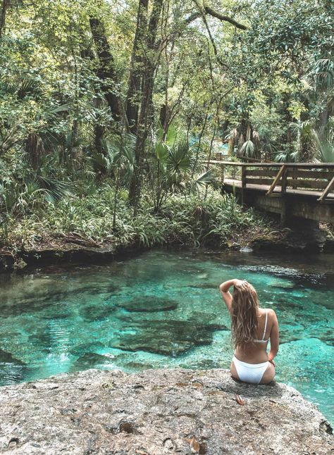 Florida road trip itinerary - rock springs Kelly Rock Springs Florida, Rock Springs Florida, Things To Do Near Orlando, Ginnie Springs, Florida Road Trip, Bahia Honda State Park, Kelly Park, Beautiful Florida, Florida Travel Guide