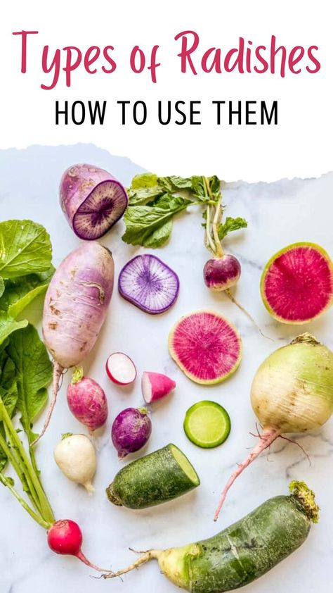 Here are all the types of radishes and how to use them in your cooking! Daikon Recipe, Easy Canapes, French Breakfast Radish, Canapes Recipes, Radish Recipes, Radish Salad, Easy Food Art, Appetizer Bites, Cooking Guide