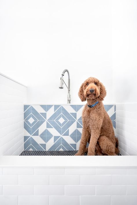 Aventura Florida, Pet Washing Station, Washing Station, Modern Miami, Miami Living, Dog Washing Station, White Subway Tile Backsplash, Miami Houses, Laundry Room Signs