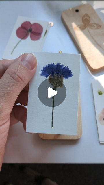 Opening a pocket-flower press! Perfect for nature walks, travel and gifting for any flower or nature lover. #flowerpress #flowerpressing #nature #naturegift #miniflowerpress #giftideas #driedflowers #wildflowers Flower Pressing, Flower Press, Natural Gifts, How To Preserve Flowers, Walking In Nature, Botanical Art, Pressed Flowers, Open Up, Nature Lover