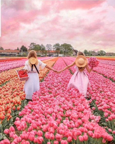 #byarmanihome on Instagram: “@thearmanihouse #naturelovers #pink #flowers #happylife #summer #neatherlands #amsterdam 📸@like.lexy” Coastal Background, Royal Hawaiian Hotel, Wallpaper Beach, Coastal Wallpaper, Pink Palace, Spring Photoshoot, Flower Photoshoot, Happy Photography, Tulips Garden