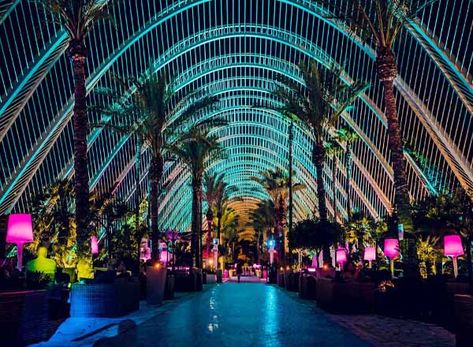 L'Umbracle Terraza - Rooftop Bar Valencia Beautiful Greenhouse, Barbican Conservatory, Techno House, Landscape Designers, Night Clubs, Eden Project, Sunrooms, Small Ponds, Summer Destinations