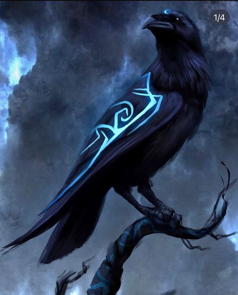 Raven Assassin, Crow Fantasy Art, Raven Person, Crow Hybrid, Raven Concept Art, Magic Powers Art, Magical Raven, Crow Aesthetic, Raven Witch