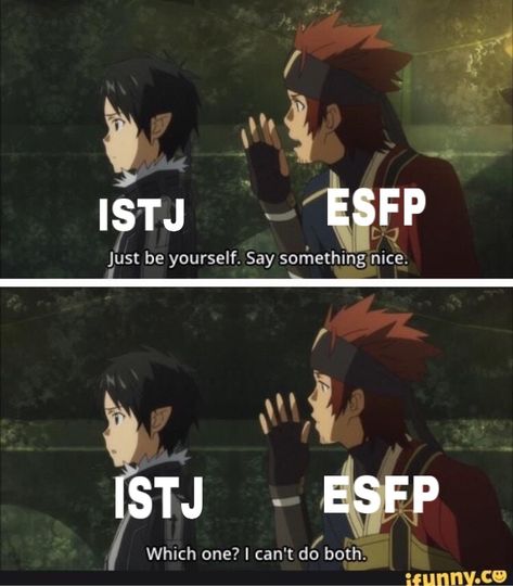 Istj X Esfp, Istj Things, Istj Mbti, Mbti Istj, Istj Personality, Mbti Intp, Infj Mbti, Mbti Memes, Mbti Relationships