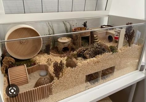 Hamster Cage Design, 75 Gallon Hamster Tank, Proper Hamster Cage, Good Hamster Cage, Hamster Home Ideas, Tank Hamster Cage, Crochet Hamster House, Hamster Cage Inspiration, Syrian Hamster Cage Ideas