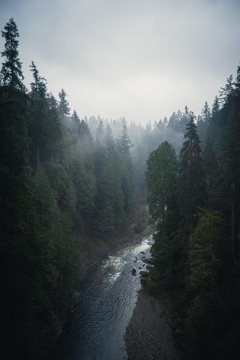 The Capilano River on a rainy Vancouver day Rainy Pnw Aesthetic, Rainy Vancouver Aesthetic, Rainy Woods Aesthetic, Rainy Forest Desktop Wallpaper, Rainy Vancouver, Dark Rainy Forest Aesthetic, Rain Aesthetic, Background References, Book Vibes