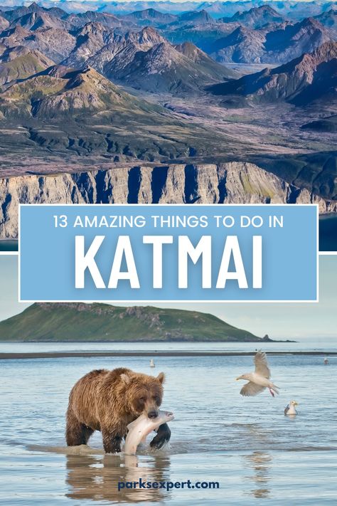 The 13 Best Things to Do in Katmai National Park: Bears and Volcanoes Galore 36 Katmai National Park Alaska, National Park Clothing, Article Summary, Alaska National Parks, North To Alaska, Homer Alaska, Alaska Trip, Alaska Vacation, Katmai National Park