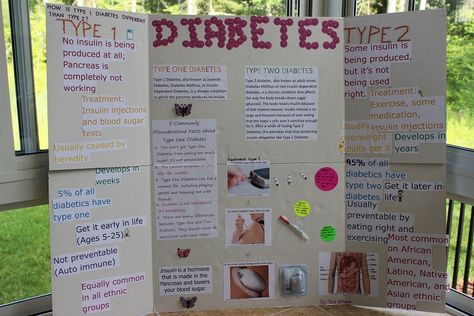 Disease Project Ideas, Health Bulletin Board Ideas, Tri Fold Poster, 4h Project Ideas, Project Science, Nutrition Poster, Cool Science Fair Projects, Presentation Ideas For School, 4h Projects