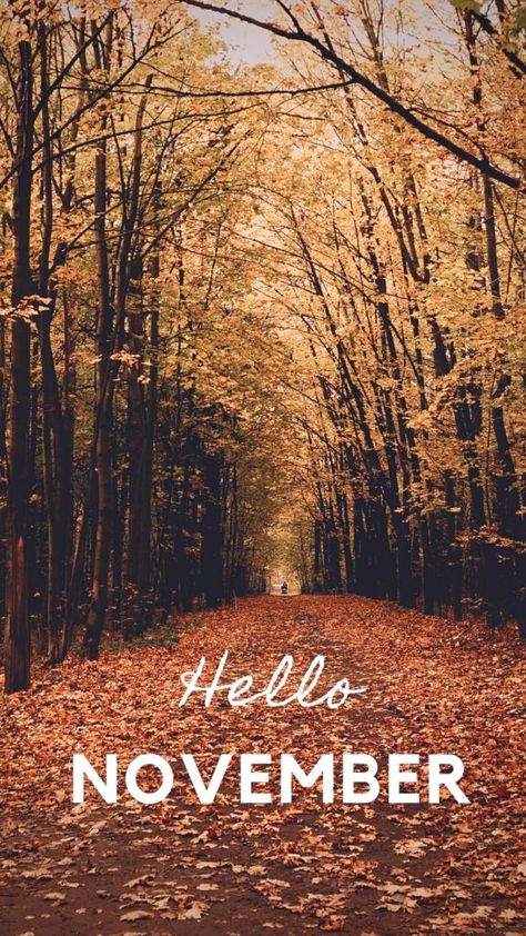 Hello November wallpaper to start of the month of November just right. Hello November Wallpaper, Desktop Wallpaper Fall, September Wallpaper, November Wallpaper, Wallpaper Winter, Thanksgiving Wallpaper, Hello November, Cute Fall Wallpaper, Iphone Wallpaper Fall