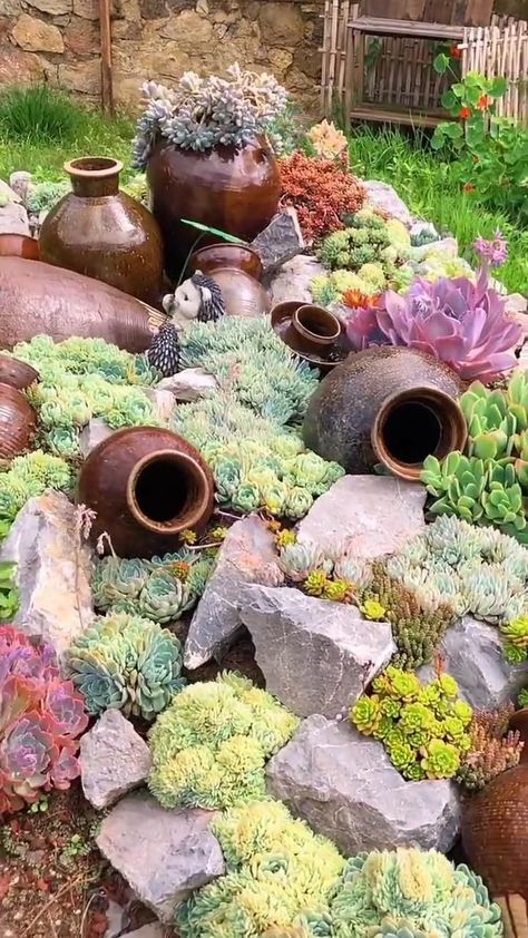 Succulent Rock Garden, Rockery Garden, Succulent Garden Landscape, Kaktus Dan Sukulen, Succulent Landscape Design, Succulent Garden Design, Rock Garden Plants, Succulent Landscaping, Rock Garden Design