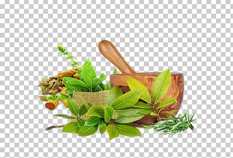 Ayurveda Doctor Wallpaper, Ayurvedic Banner Design, Ayurvedic Background, Ayurveda Elements, Aayurvedik Upchar, Ayurvedic Healing, Naturopathy, Chronic Condition, Medical Care