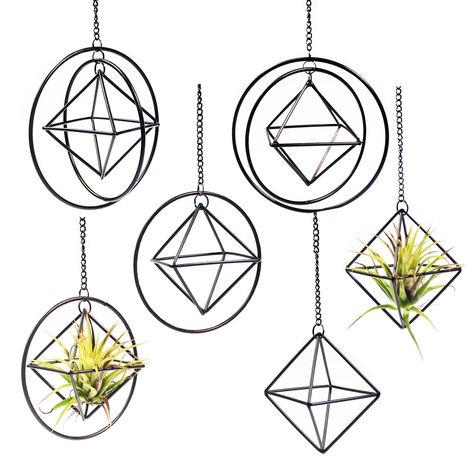 PRICES MAY VARY. GEOMETRIC SET OF 6: Our air plants holders sets is ranging 6.6cm(2.6in), with 3D ring around octahedron shapes. We also include with matching hooks and 17cm chains for easy hanging and placement. CUTE HOLDERS FOR AIR PLANTS: Our air plant hangers can be used freestanding on your desk or windowsill, Hanging geometric decor,and wall hanging airplant displays.fit air plants stylishly and perfectly. BLACK HIMMELI DESIGN:Our air plant holders are based on himmeli, a traditional Finni Air Plant Hangers, 3d Ring, Plant Hanging, Popular Decor, Geometric Decor, Air Plant Holder, Frame Display, Hanging Planters, Plant Holders