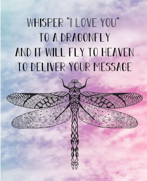 Dragonfly Quotes, Dragonfly Wallpaper, In Memory Of Dad, Lessons Learned In Life, Christian Bale, Quotes Positive, Lessons Learned, Firefly, Jennifer Lopez