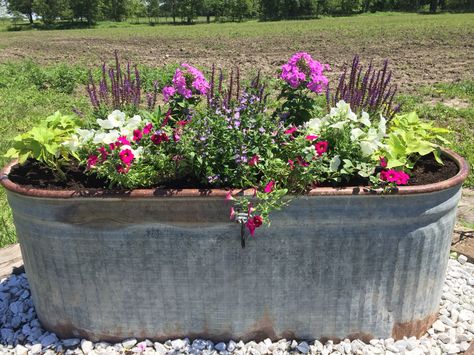 Horse trough Farm Planter Ideas, Cattle Trough Garden, Trough Flower Garden, Plant Trough Ideas, Water Trough Flower Planter, Flower Trough Ideas, Flowers In Horse Trough, Metal Horse Trough Planters, Landscaping With Galvanized Tubs