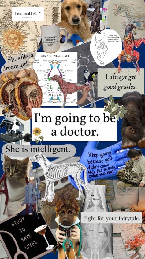 Vet School Aesthetic, Vet Wallpaper, Veterinary Aesthetic, Veterinary Study, Veterinarian Career, Vet Pictures, Vet Aesthetic, Veterinarian School, Vet School Motivation