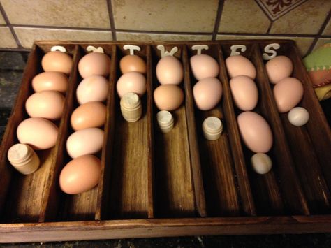 Egg Sorter Egg Sorter Diy, Egg Storage Ideas, Egg Skelter, Chicken Business, Mess Hall, Raising Quail, Raising Chicks, Chicken Waterer, Chicken Mom