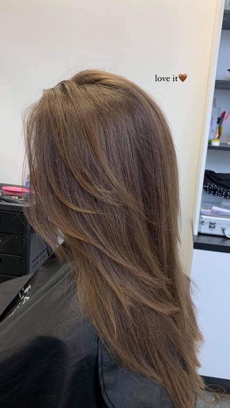 Hair Trim With Layers, Brunette Layers Medium Length, Face Framing Layers Medium Length Hair Straight, Layered Hair On Straight Hair, 90s Layered Hair Long Brunette, Simple Layered Hair, Layered Haircuts For Straight Hair, Straight Hair Layers, Straight Layers