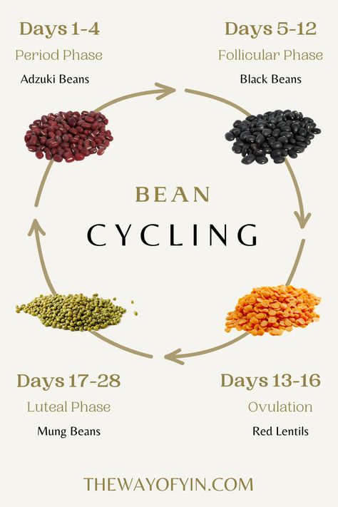 Best Beans For Health, Supplements For Menstrual Cycle, Seeds For Menstrual Cycle, Menstrual Cycle Drinks, Seed Cycling Benefits, Cycle Seeding, Breakfast For Menstrual Phase, Menstrual Phase Breakfast, Bean Cycling