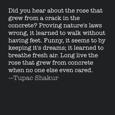 Long Live The Rose That Grew Tupac, Tupac Rose That Grew From Concrete, Rose That Grew From Concrete, The Rose That Grew From Concrete, Rose From Concrete, Tupac Poems, Concrete Aesthetic, Rose Poems, Concrete Poem