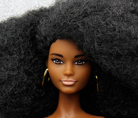 Barbie Fashionistas N°105 Natural Hair Doll, Barbie Face, Gal Gabot, Black Hairstyle, Different Faces, Type Face, Face Mold, Goldie Hawn, Natalia Vodianova