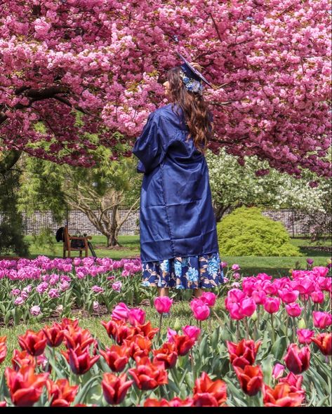 Graduation inspo pictures | graduation flower garden | pictures | inspiration | tulips garden | graduation photos | Grad Photoshoot Flowers, Botanical Garden Graduation Photos, Flower Graduation Pictures, Garden Graduation Pictures, Creative Graduation Pictures, Flower Garden Pictures, Graduation Photo Ideas, Photoshoot Graduation, Pictures Graduation