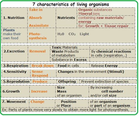 Characteristics of Living organisms - Biology Notes for IGCSE 2014 Characteristics Of Living Organisms Notes, Unicellular Organisms, Cell Respiration, Living Organisms, Cell Division, Cell Growth, Biology Notes, Mock Test, Chemical Reactions