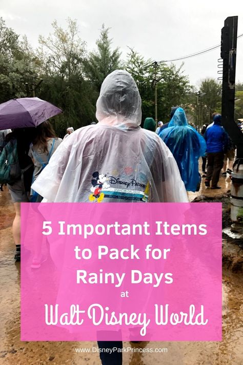 Rainy Day Theme Park Outfit, Disney World Rainy Day Outfit, Rainy Disney Day Outfit, Rainy Day Disney Outfit, Rainy Day Disneyland Outfit, Disney Rainy Day Outfit, Rainy Disneyland, Rainy Day Outfit Summer, Rain At Disney World