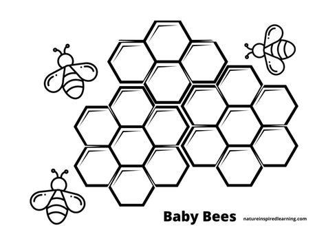 Bees Coloring Pages, Honeycomb Outline, Honey Bee Coloring Pages, Bee Hive Coloring Pages Free Printable, Beehive Drawing, Bee Colouring Picture, Bee Coloring Pages For Adults, Bee Clip Art, Kindergarten Coloring Sheets