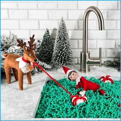 Cute Ideas for Scout Elves and Elf Pets® Reindeer | The Elf on the Shelf Elves Ideas, Reindeer Pet, Reindeer Cute, Elf Printables, Elf Pets, Awesome Elf On The Shelf Ideas, Elf Activities, Elf Antics, Cute Ideas