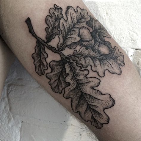 Oak Tree Leaf Tattoo, Oak Leaf Tattoo, Oak Tattoo, Oak Leaf Tattoos, Acorn Tattoo, Tree Sleeve Tattoo, Robin Tattoo, Scandinavian Tattoo, Oak Tree Tattoo