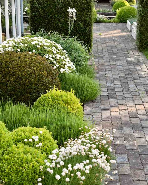 The White Garden 2021 Review The Greenhouse Border – Herbidacious Spring Border Garden, White Country Garden, Front Garden Border, White Rose Border, Patio Border Ideas, Formal Front Garden, Driveway Plants, Front Yard Planters, Silver Bed