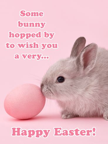 Funny Easter Wishes, Easter Wishes Messages, Funny Easter Cards, Easter Inspirational Quotes, Easter Sayings, Happy Easter Messages, Happy Easter Funny, Happy Easter Pictures, Happy Easter Quotes