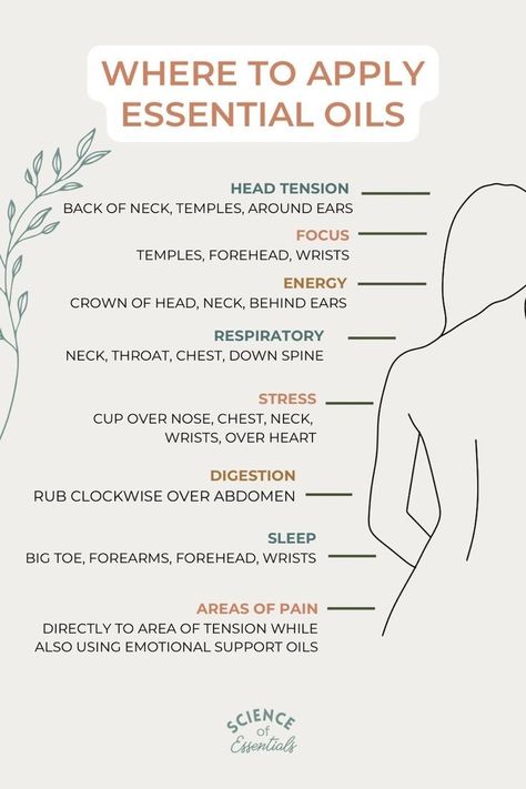 Where To Apply Essential Oils, Top Essential Oils, Essential Oil Education, Essential Oils For Pain, Essential Oil Diffuser Blends Recipes, Education Science, Essential Oil Remedy, Essential Oils Guide, Essential Oils Herbs