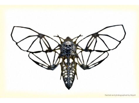 Moth Skeleton, Wire Insects, Anatomy Illustration, Skull Moth, Deaths Head, Deaths Head Moth, Insect Tattoo, Sugar Skull Tattoos, Hawk Moth