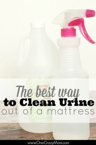 Homemade Cleaner, Clean Stove Top, Homemade Toilet Cleaner, Clean Stove, Clean Baking Pans, Cleaning Painted Walls, Astuces Diy, Glass Cooktop, Deep Cleaning Tips