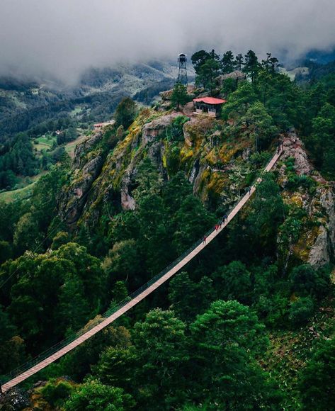 1,226 Me gusta, 10 comentarios - Vive Oaxaca (@vive_oaxaca) en Instagram: "Benito Juárez, Oaxaca 📸: @gustavomoguel • Selección: @chuchopotts #Vive_Oaxaca • • Comparte tus…" Hanging Bridge, Oaxaca City, Traditional Breakfast, Best Sunset, Beautiful Forest, Conde Nast Traveler, Conde Nast, Sacred Places, Sea Level