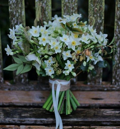 Narcissus Wedding Bouquet, Narcissus Flower Bouquet, Snowdrop Flower Bouquets, Narcissus Tattoo December, Narcissus Bouquet, Flower Bouquet Daffodils, December Flower Narcissus, White Narcissus Flower, Gold Winter Wedding